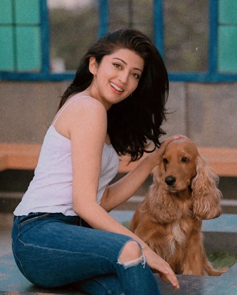 Pranita Subhash Latest Photoshoot