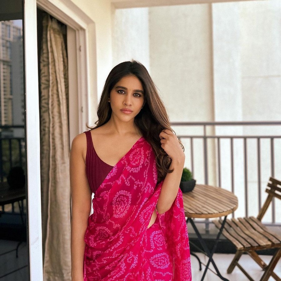 Nabha Natesh Looking Mesmerising in Pink Saree
