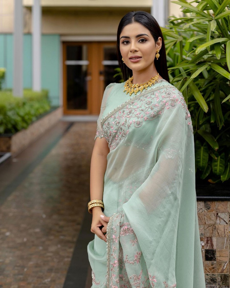 Samyuktha Menon Looking Fabulous in Saree