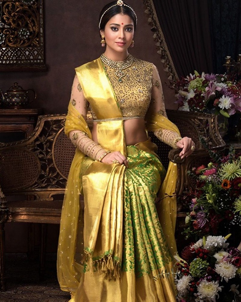 Regal Looks Of Shriya Saran in Shiny Silk Saree