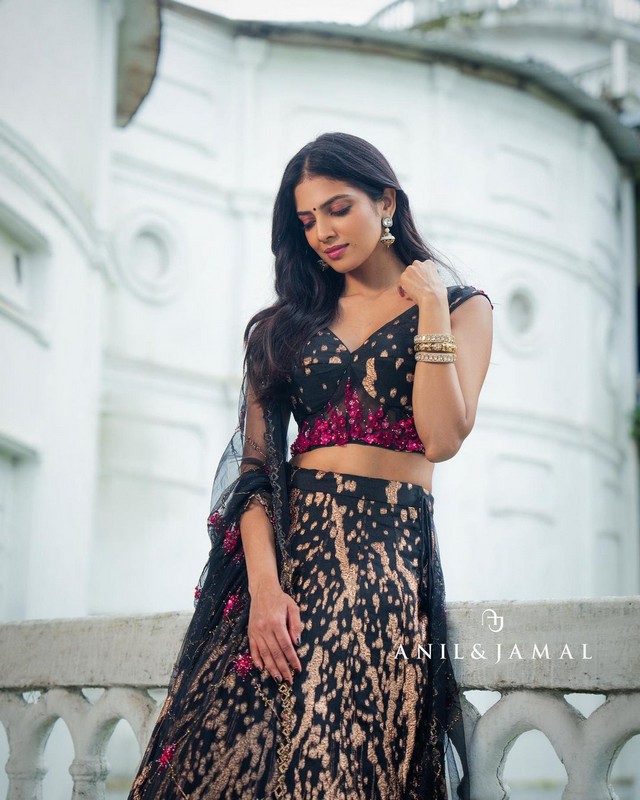 Malavika Mohanan Looks Fabulous in Designer Dress