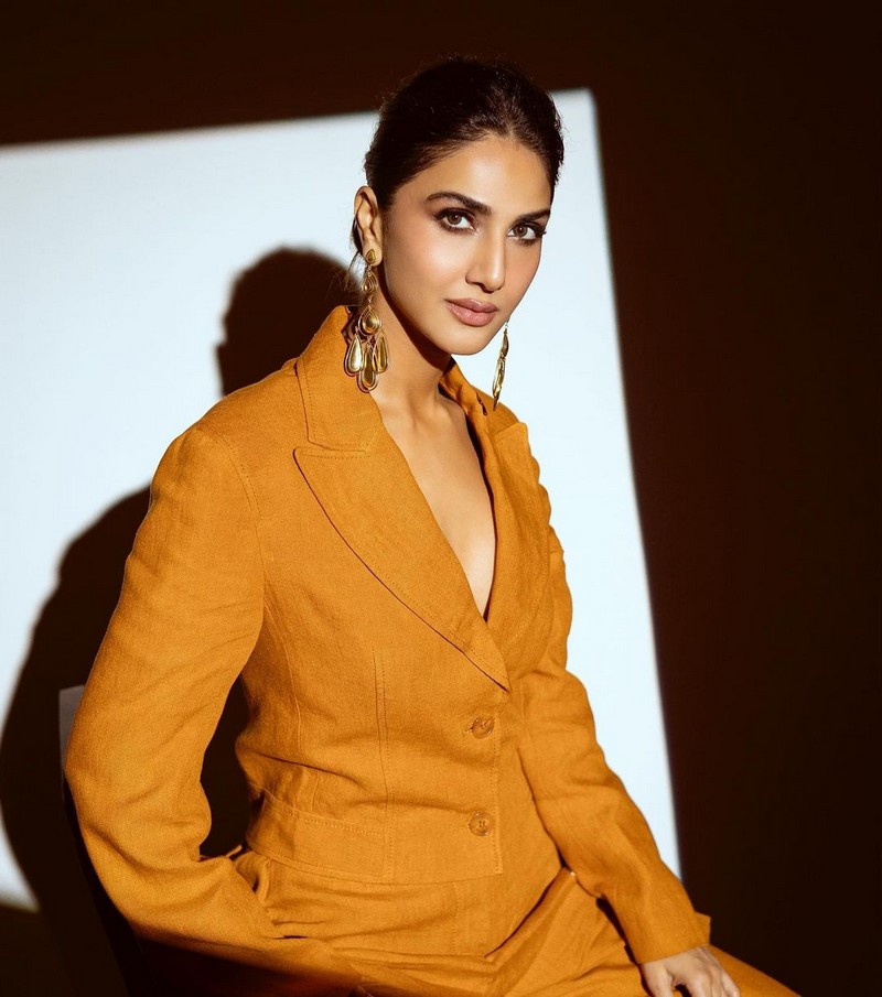 Beautiful Pics Of Vaani Kapoor