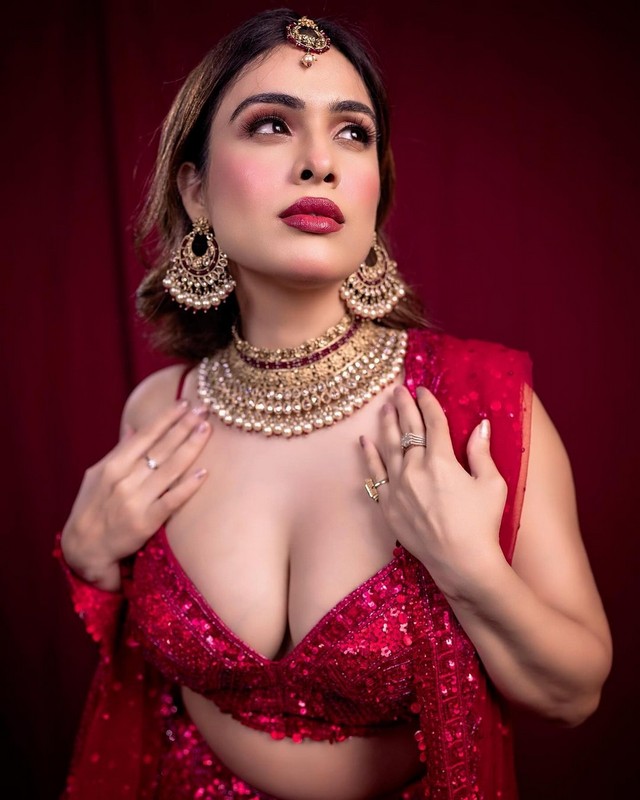 Nehhaa Malik Delightful Photoshoot in Shiny Pink Dress
