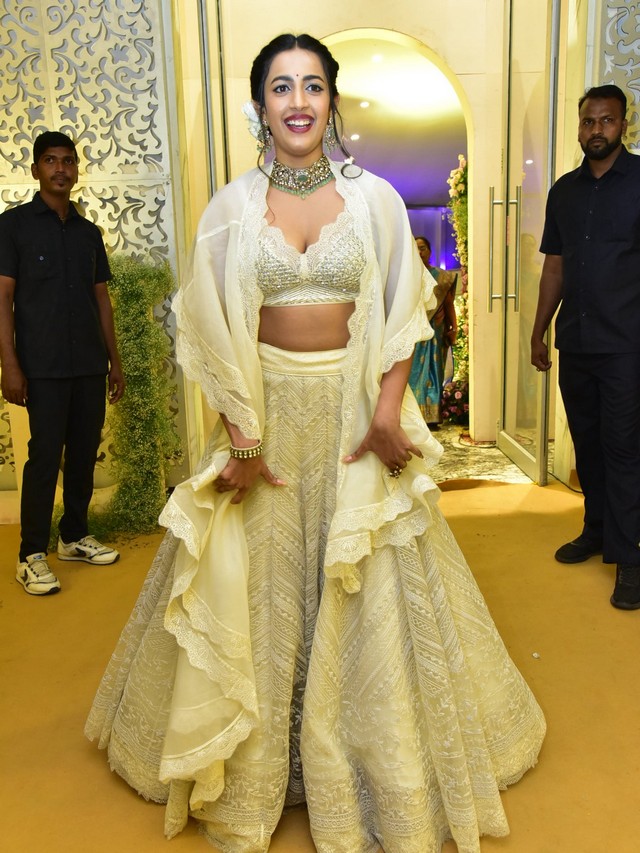 Celebrities at Varun Lavanya Reception Photos Set-3