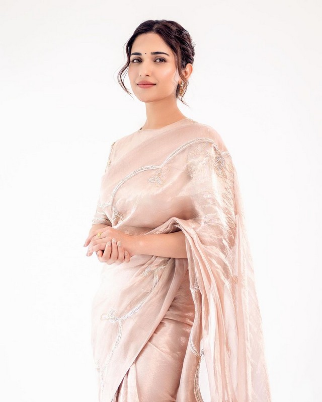 Actress Ruhani Sharma Looking Cute in Saree