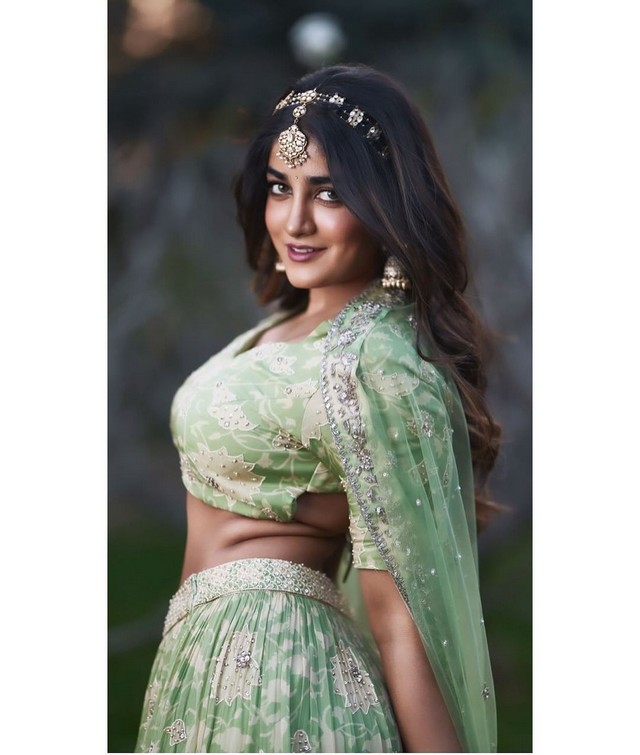 Dimple Hayathi Looking Pretty in Designer Dress