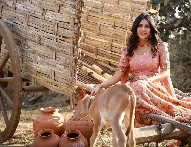 Nabha Natesh Latest Clicks