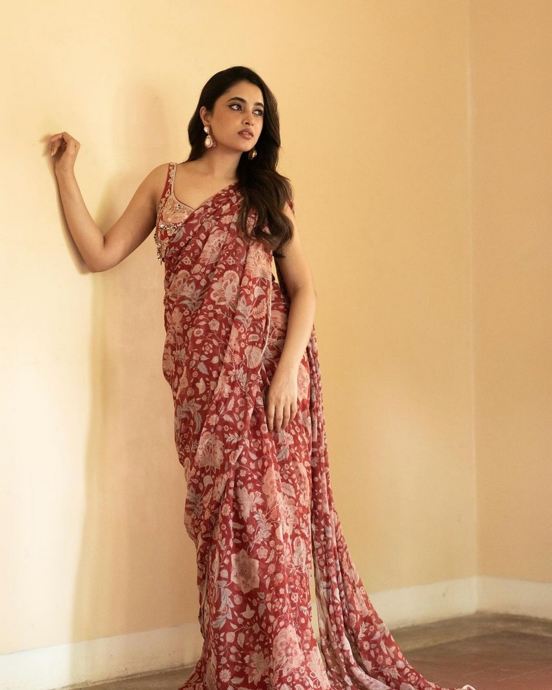 Priyanka Mohan Looking Fabulous in Saree