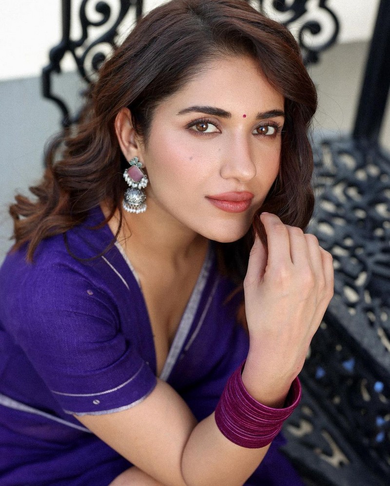 Awesome Pics Of Ruhani Sharma in Blue Saree