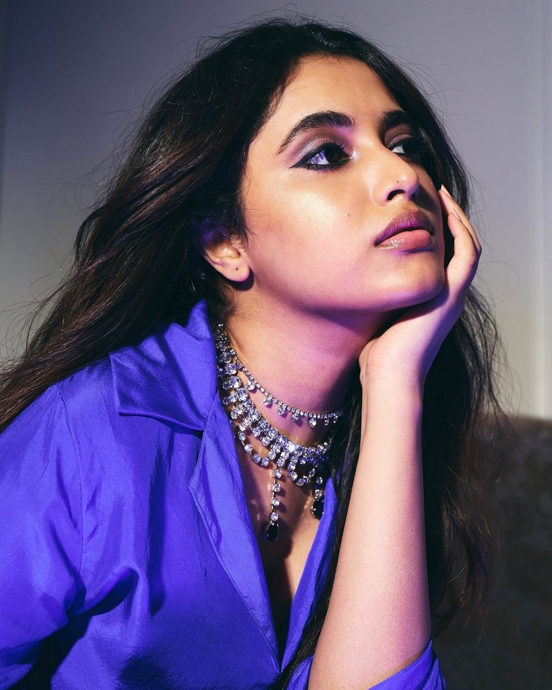 Priyanka Mohan Looking Sizzles in Blue Outfit