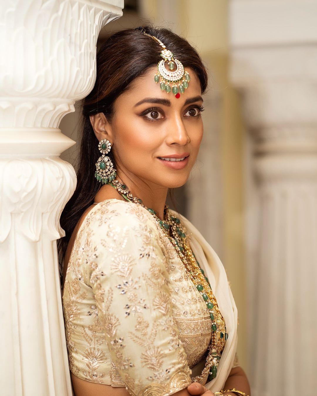 Shriya Saran Traditional Looks in Dress
