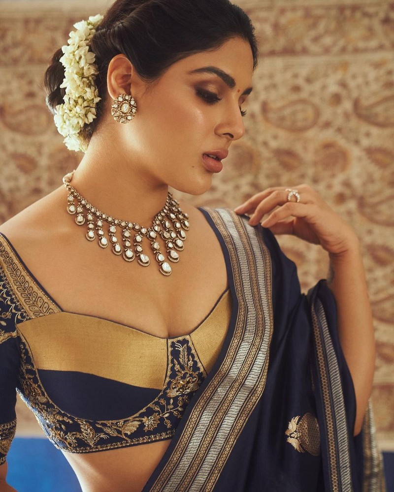 Samyuktha Menon Looking Sexy in Blue Saree