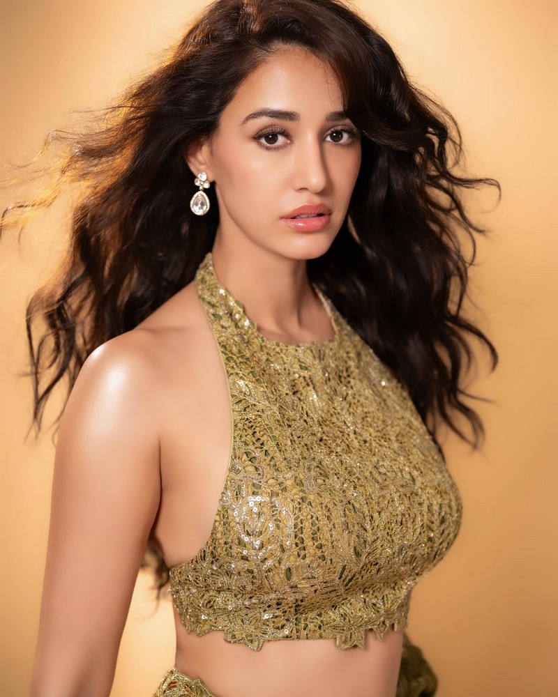 Disha Patani Dazzles Looks in Shiny Outfit