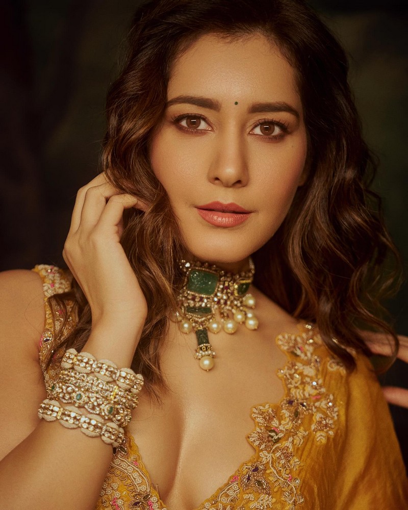 Raashii Khanna Looking Glamorous in Dress