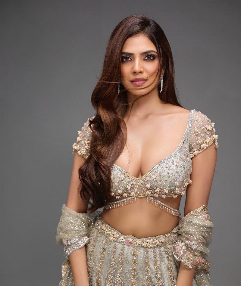 Malavika Mohanan Alluring Poses in Designing Outfit