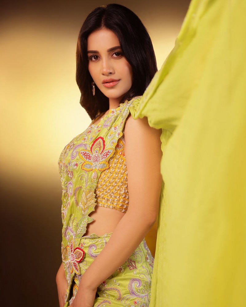 Nabha Natesh Sizzling Clicks in Saree